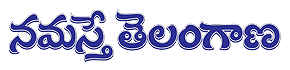 Astrology Advertisement in Namasthe Telangana